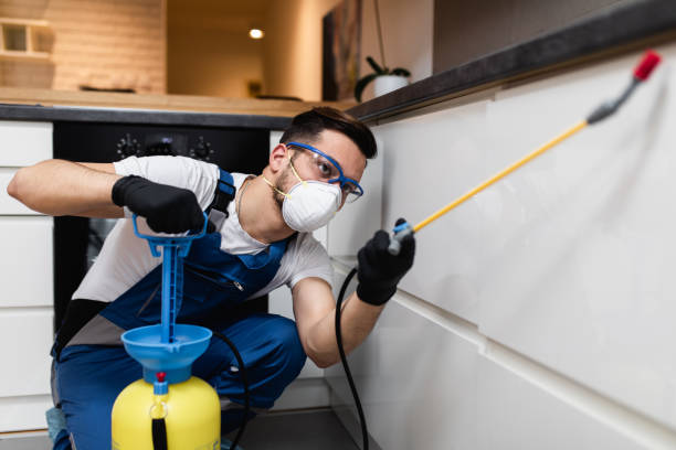 Best Best Pest Control Companies  in Santa Barbara, CA