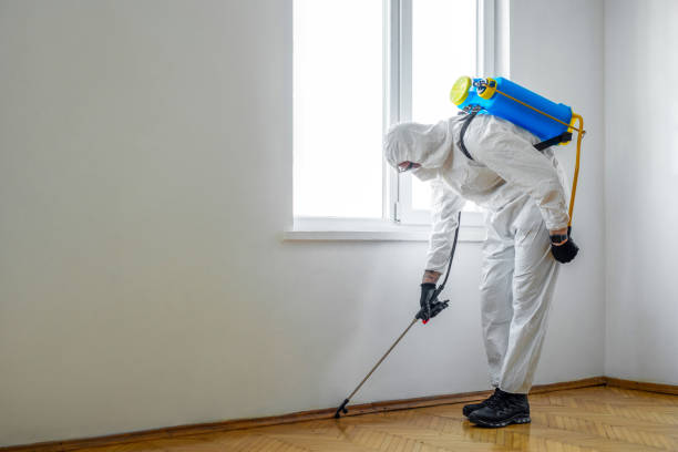  Santa Barbara, CA Pest Control Pros