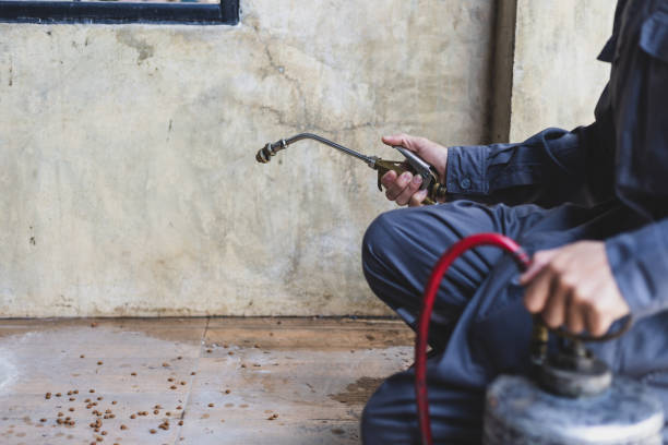 Best Pest Control for Businesses  in Santa Barbara, CA