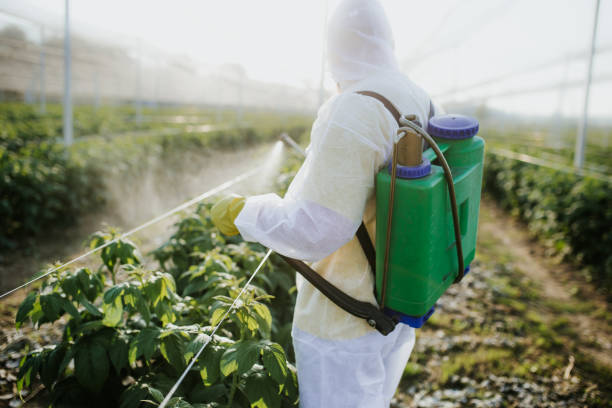 Best Mosquito Control Services  in Santa Barbara, CA